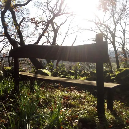 Azienda Agricola Biologica La Cardellina Farm stay *