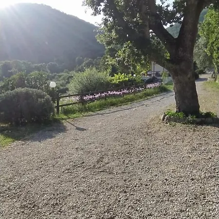 Azienda Agricola Biologica La Cardellina *
