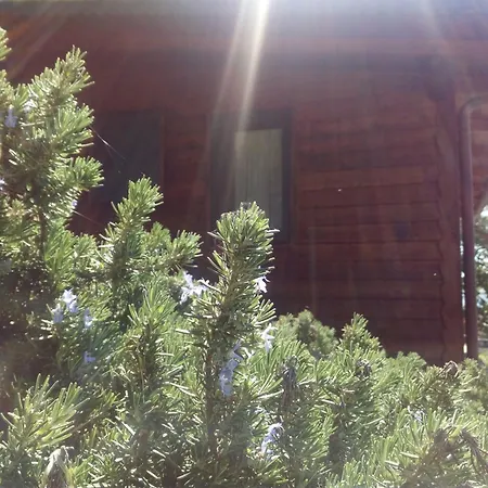 Azienda Agricola Biologica La Cardellina *