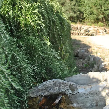 Azienda Agricola Biologica La Cardellina Alloggio per agriturismo