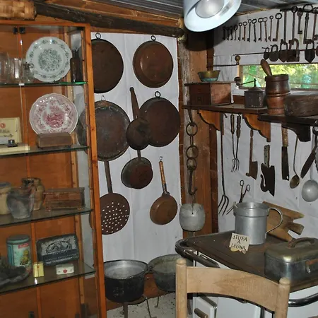 Azienda Agricola Biologica La Cardellina * Tolfa