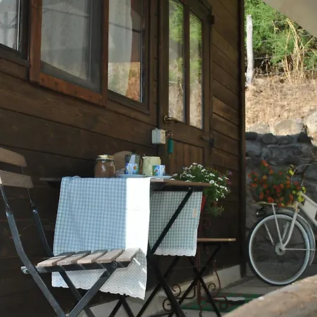 Azienda Agricola Biologica La Cardellina Farm stay Tolfa