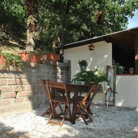 Azienda Agricola Biologica La Cardellina * Tolfa