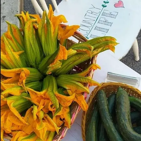 Azienda Agricola Biologica La Cardellina Tolfa