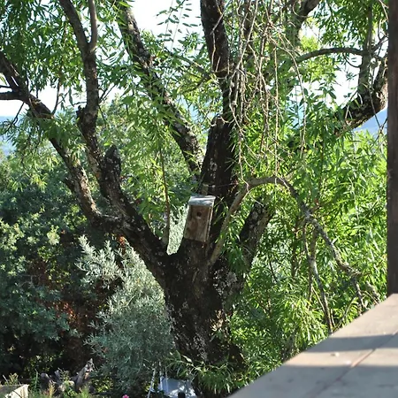 Azienda Agricola Biologica La Cardellina Farm stay