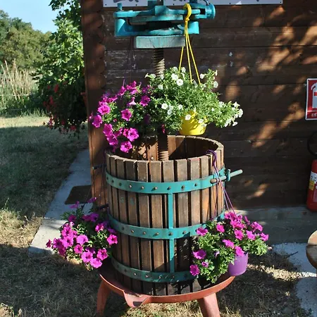 Azienda Agricola Biologica La Cardellina Alloggio per agriturismo *