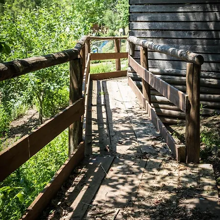 Azienda Agricola Biologica La Cardellina * Tolfa