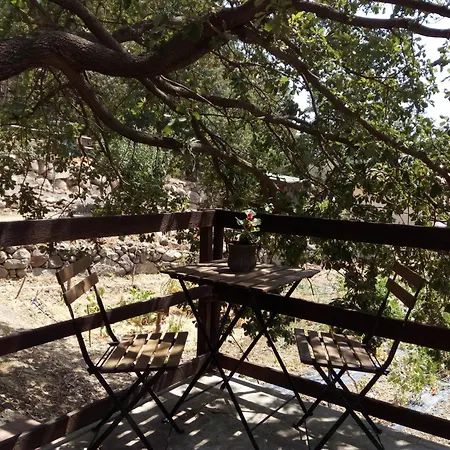 Azienda Agricola Biologica La Cardellina Farm stay