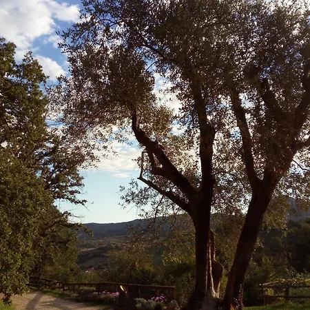 Alloggio per agriturismo Azienda Agricola Biologica La Cardellina Tolfa