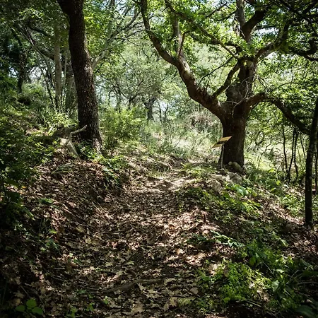 Alloggio per agriturismo Azienda Agricola Biologica La Cardellina Tolfa