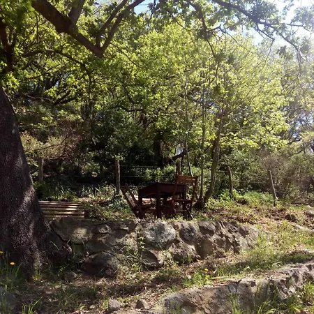 Azienda Agricola Biologica La Cardellina Alloggio per agriturismo