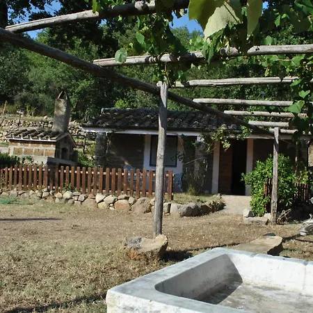 Azienda Agricola Biologica La Cardellina * Tolfa