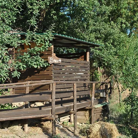 Azienda Agricola Biologica La Cardellina Tolfa