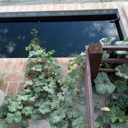Azienda Agricola Biologica La Cardellina Farm stay
