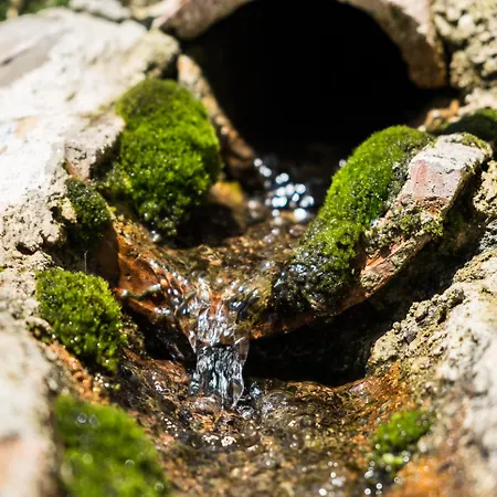Alloggio per agriturismo Azienda Agricola Biologica La Cardellina *
